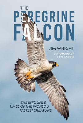 Cover Image for The Peregrine Falcon: The Epic Life and Times of the World's Fastest Creature -- Jim Wright, Hardcover