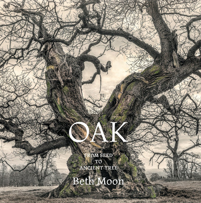 Cover Image for Oak: From Seed to Ancient Tree -- Beth Moon, Hardcover