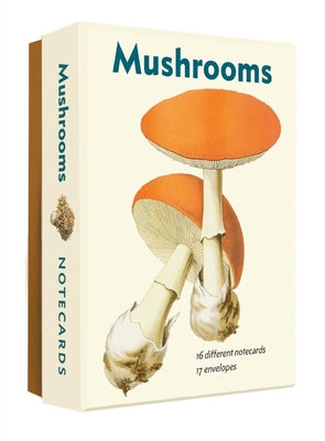 Cover Image for Mushrooms: An Abbeville Notecard Set -- Editors of Abbeville Press, Cards