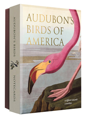 Cover Image for Audubon's Birds of America: An Abbeville Notecard Set -- Editors of Abbeville Press, Other