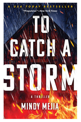 Cover Image for To Catch a Storm -- Mindy Mejia, Paperback
