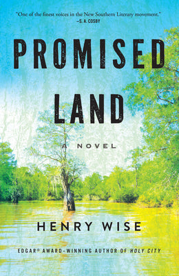 Cover Image for Promised Land -- Henry Wise, Hardcover