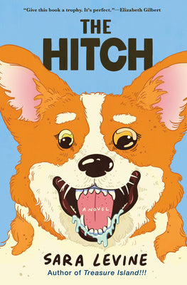 Cover Image for The Hitch -- Sara Levine, Hardcover