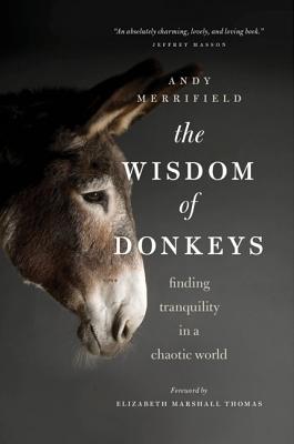 Cover Image for The Wisdom of Donkeys: Finding Tranquility in a Chaotic World -- Andy Merrifield, Paperback