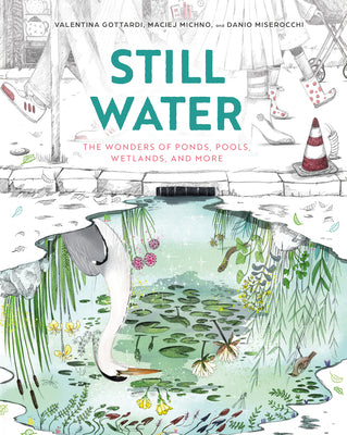Cover Image for Still Water: The Wonders of Ponds, Pools, Wetlands, and More -- Maciej Michno, Hardcover
