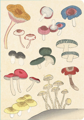 Cover Image for Healing Mushrooms Lined Paperback Journal: Blank Notebook with Pocket -- Tuttle Studio, Paperback