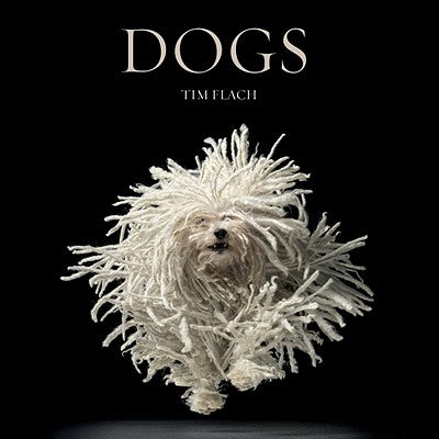 Cover Image for Dogs: Photographs -- Lewis Blackwell, Hardcover