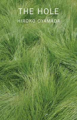 Cover Image for The Hole -- Hiroko Oyamada, Paperback