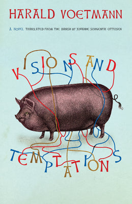 Cover Image for Visions and Temptations -- Harald Voetmann, Paperback