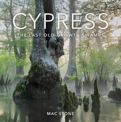 Cover Image for Cypress: The Last Old-Growth Swamps -- Mac Stone, Hardcover