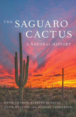 Cover Image for The Saguaro Cactus: A Natural History -- David Yetman, Paperback