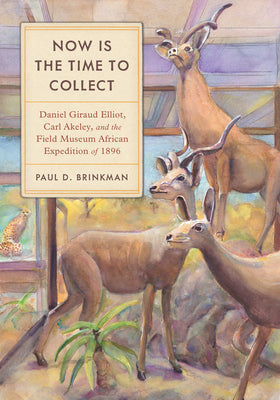Cover Image for Now Is the Time to Collect: Daniel Giraud Elliot, Carl Akeley, and the Field Museum African Expedition of 1896 -- Paul D. Brinkman, Paperback
