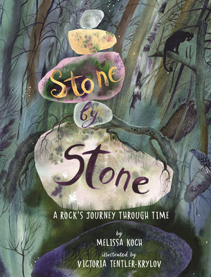 Cover Image for Stone by Stone: A Rock's Journey Through Time -- Melissa Koch, Hardcover