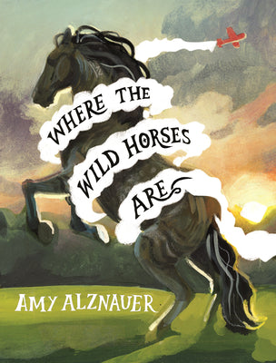 Cover Image for Where the Wild Horses Are -- Amy Alznauer, Hardcover