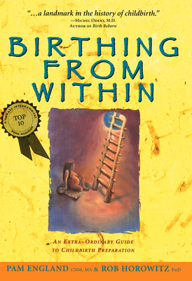 Cover Image for Birthing from Within: An Extra-Ordinary Guide to Childbirth Preparation -- Pam England Cnm Ma, Paperback