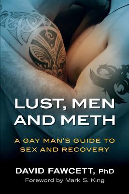 Cover Image for Lust, Men, and Meth: A Gay Man's Guide to Sex and Recovery -- David Fawcett, Paperback