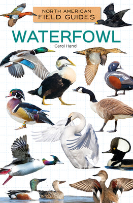 Cover Image for Waterfowl -- Carol Hand, Library Binding