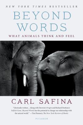 Cover Image for Beyond Words: What Animals Think and Feel -- Carl Safina, Paperback