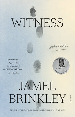 Cover Image for Witness: Stories -- Jamel Brinkley, Paperback