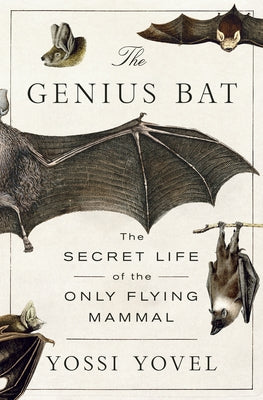 Cover Image for The Genius Bat: The Secret Life of the Only Flying Mammal -- Yossi Yovel, Hardcover