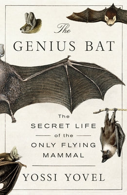 Cover Image for The Genius Bat: The Secret Life of the Only Flying Mammal -- Yossi Yovel, Paperback