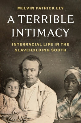 Cover Image for A Terrible Intimacy: Interracial Life in the Slaveholding South -- Melvin Patrick Ely, Hardcover