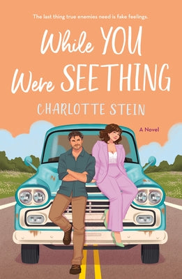 Cover Image for While You Were Seething -- Charlotte Stein, Paperback