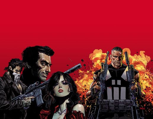 Cover Image for Marvel Knights: Punisher -- Jimmy Palmiotti, Paperback