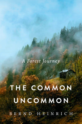Cover Image for The Common Uncommon: A Forest Journey -- Bernd Heinrich, Hardcover
