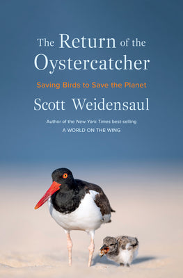 Cover Image for The Return of the Oystercatcher: Saving Birds to Save the Planet -- Scott Weidensaul, Hardcover