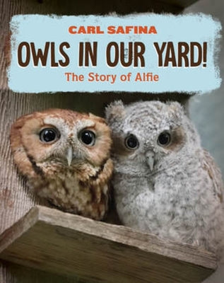 Cover Image for Owls in Our Yard!: The Story of Alfie -- Carl Safina, Hardcover