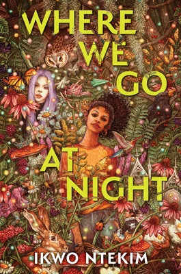 Cover Image for Where We Go at Night -- Ikwo Ntekim, Hardcover