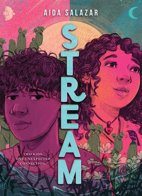 Cover Image for Stream -- Aida Salazar, Hardcover