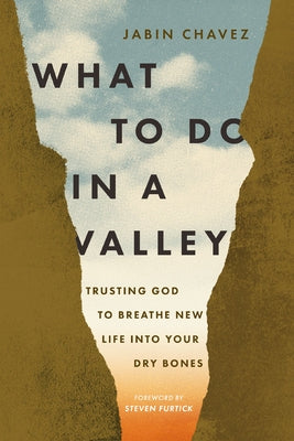 Cover Image for What to Do in a Valley: Trusting God to Breathe New Life Into Your Dry Bones -- Jabin Chavez, Paperback