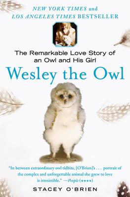 Cover Image for Wesley the Owl: The Remarkable Love Story of an Owl and His Girl -- Stacey O'Brien, Paperback