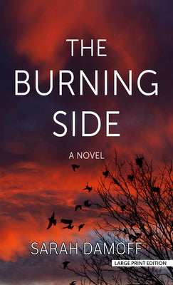 Cover Image for The Burning Side -- Sarah Damoff, Hardcover