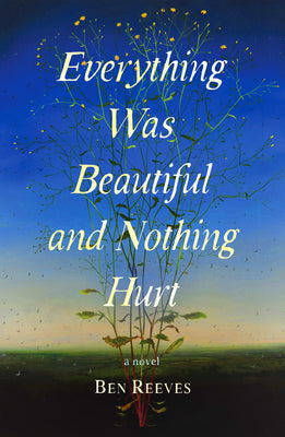 Cover Image for Everything Was Beautiful and Nothing Hurt -- Ben Reeves, Hardcover