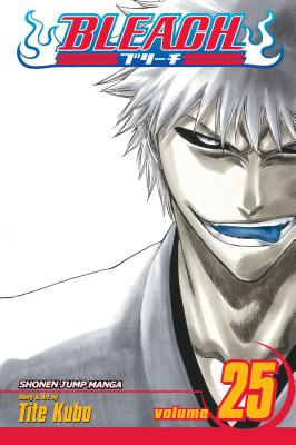 Cover Image for Bleach, Vol. 25 -- Tite Kubo, Paperback