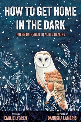 Cover Image for How to Get Home in the Dark -- Emilie Lygren, Paperback