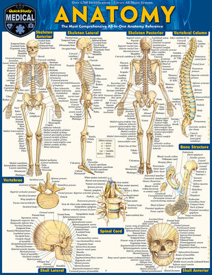 Anatomy: Quickstudy Laminated Reference Guide -- Vincent Perez, Other