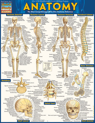 Anatomy: Quickstudy Laminated Reference Guide -- Vincent Perez, Other