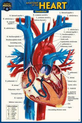 Cover Image for Anatomy of the Heart (Pocket-Sized Edition - 4x6 Inches) -- Vincent Perez, Other