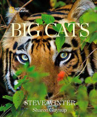 Cover Image for Big Cats -- Steve Winter, Hardcover
