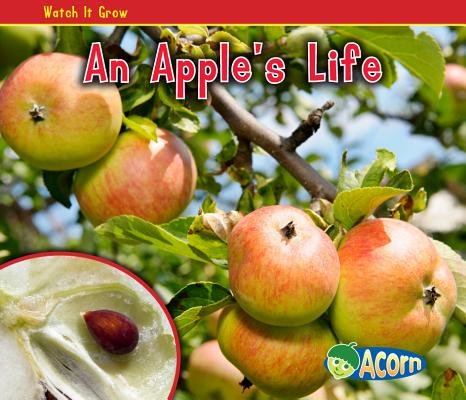 Cover Image for An Apple's Life -- Nancy Dickmann, Paperback