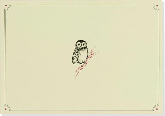 Cover Image for Note Card Owl Portrait -- Inc Peter Pauper Press, Other