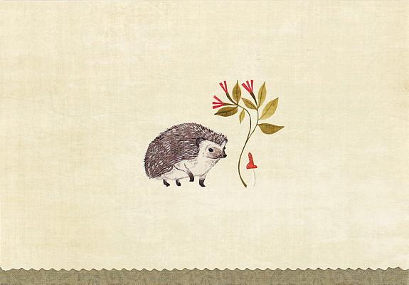 Cover Image for Note Card Hedgehog -- Inc Peter Pauper Press, Other
