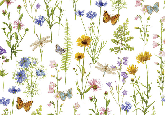 Cover Image for Wildflower Garden Note Cards (14 Cards, 15 Self-Sealing Envelopes) -- Ann Johnston, Other