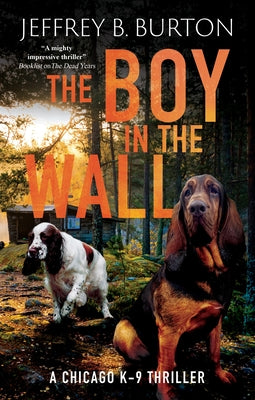Cover Image for The Boy in the Wall -- Jeffrey B. Burton, Hardcover