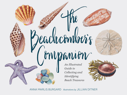 Cover Image for The Beachcomber's Companion: An Illustrated Guide to Collecting and Identifying Beach Treasures -- Anna Marlis Burgard, Hardcover
