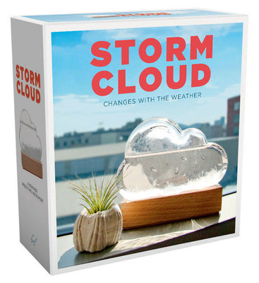Cover Image for Storm Cloud: A Weather Predicting Instrument -- Bitten, Other
